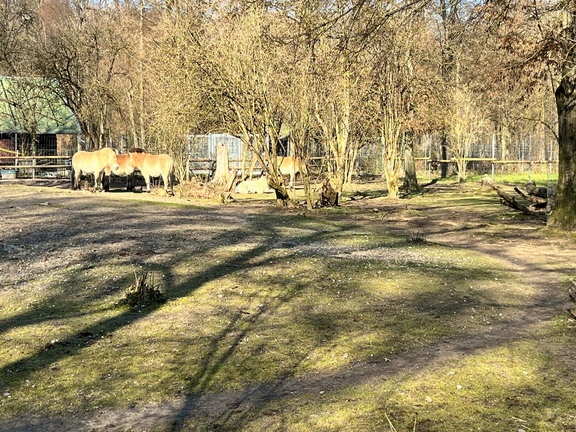 23-02-13 14-03-43 4209